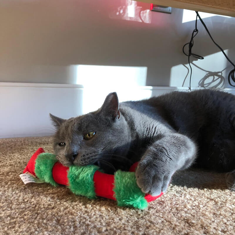 Yeowww  Catnip Candy Cane