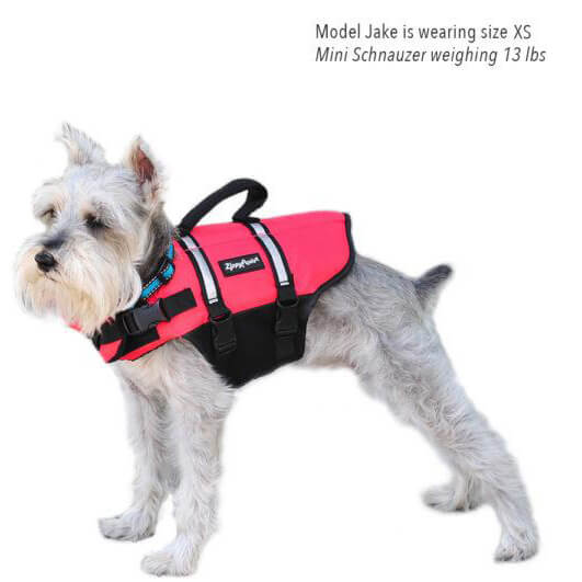 Zippy Paws Adventure Life Jacket small