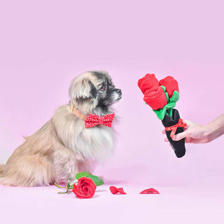 Zippy Paws Valentines Bouquet of Roses